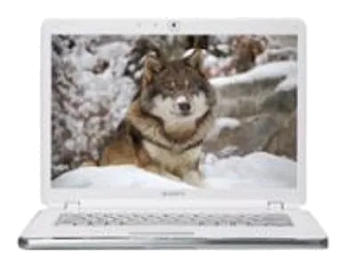 Ноутбук Sony VAIO VGN-AR520E